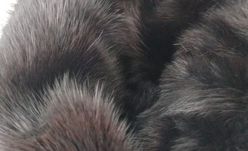 Где почистить шубу в Вологде?